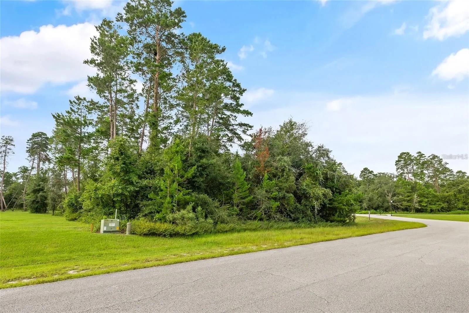 13615 Gopher Pond CT