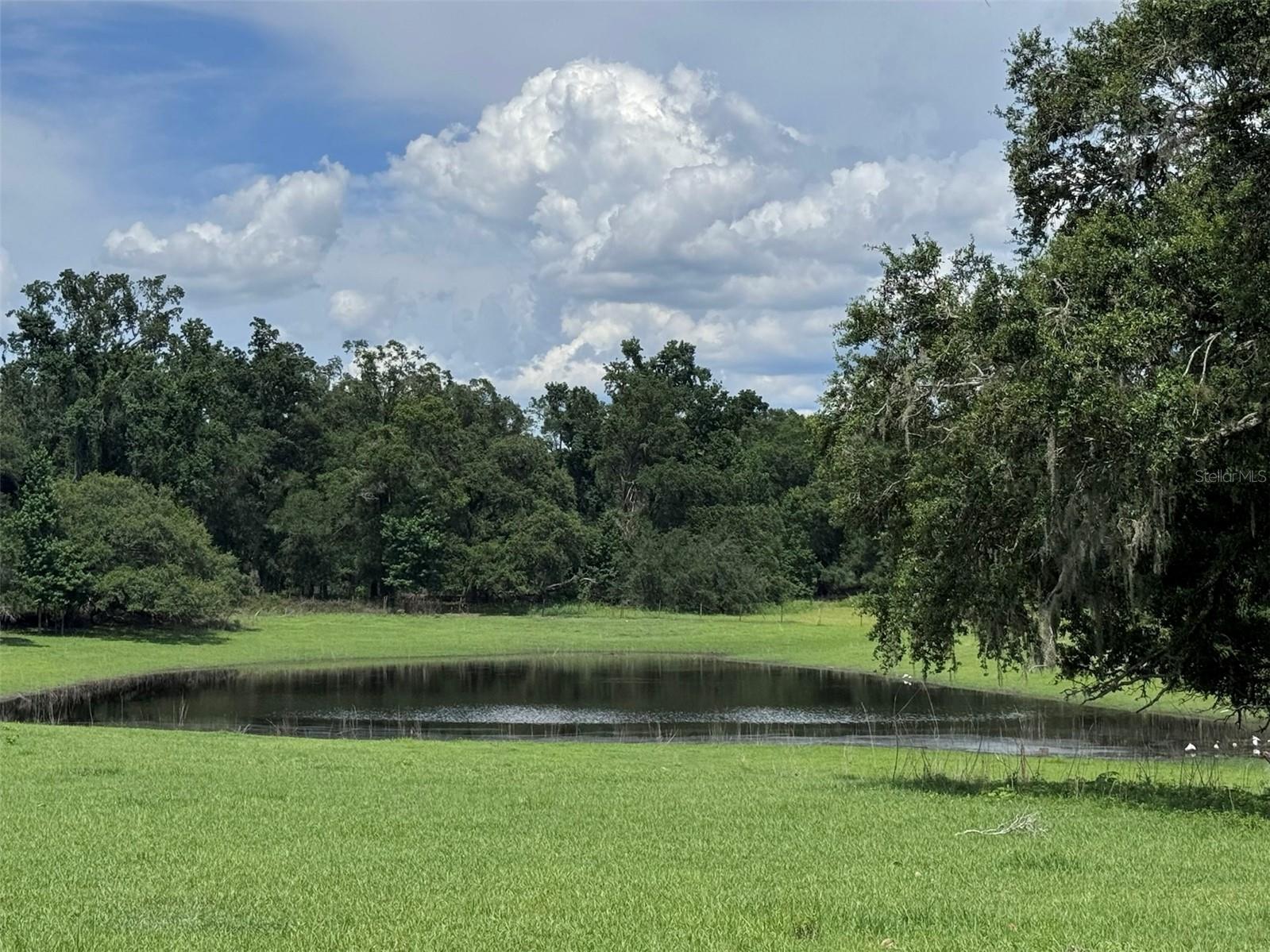 20716 Ramer Rd