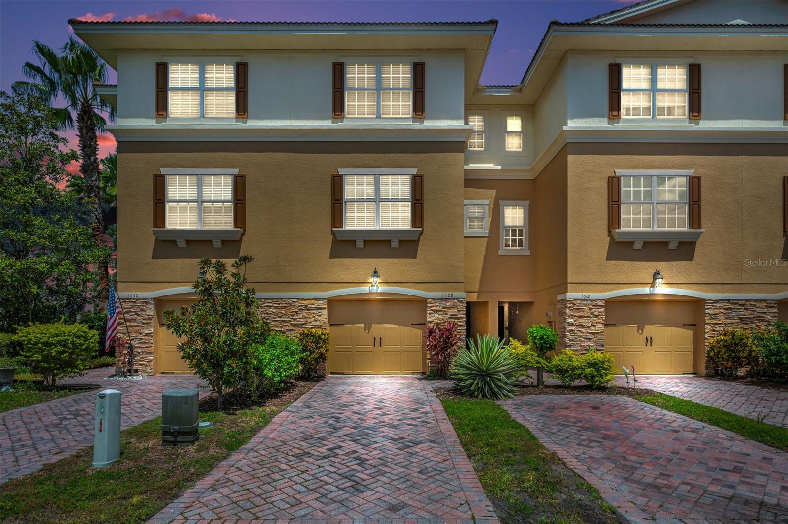 5628 Sea Turtle CT