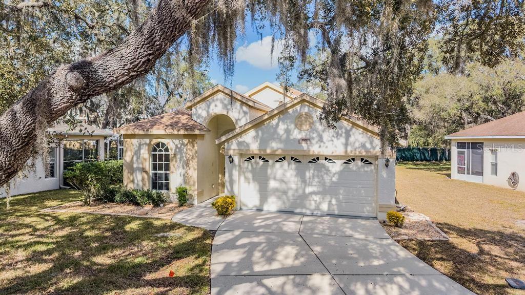 16501 Sandhill Crane Dr