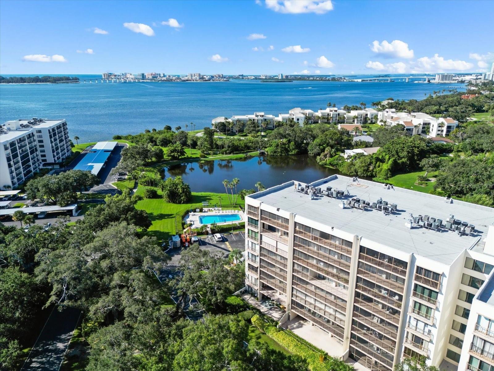 220 Belleview Blvd #702