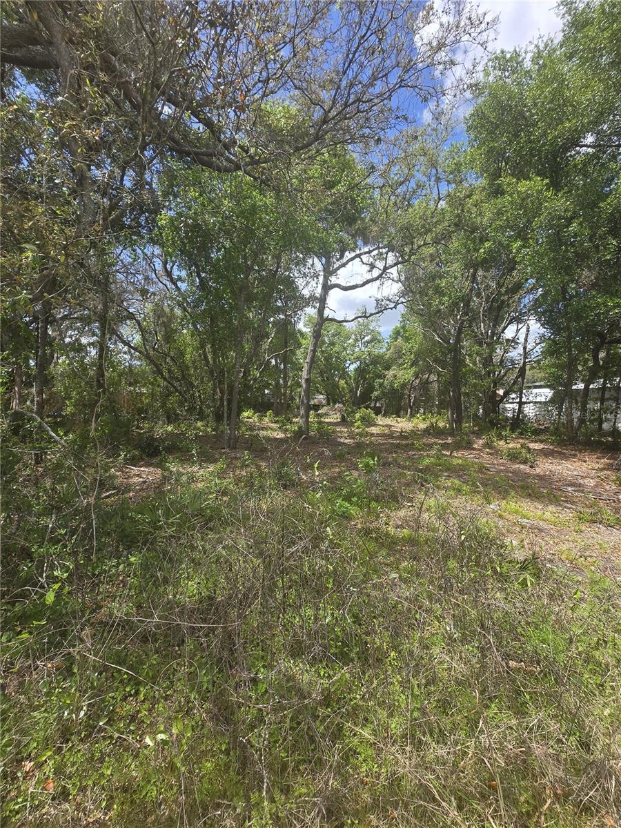 8140 Walt Williams Rd