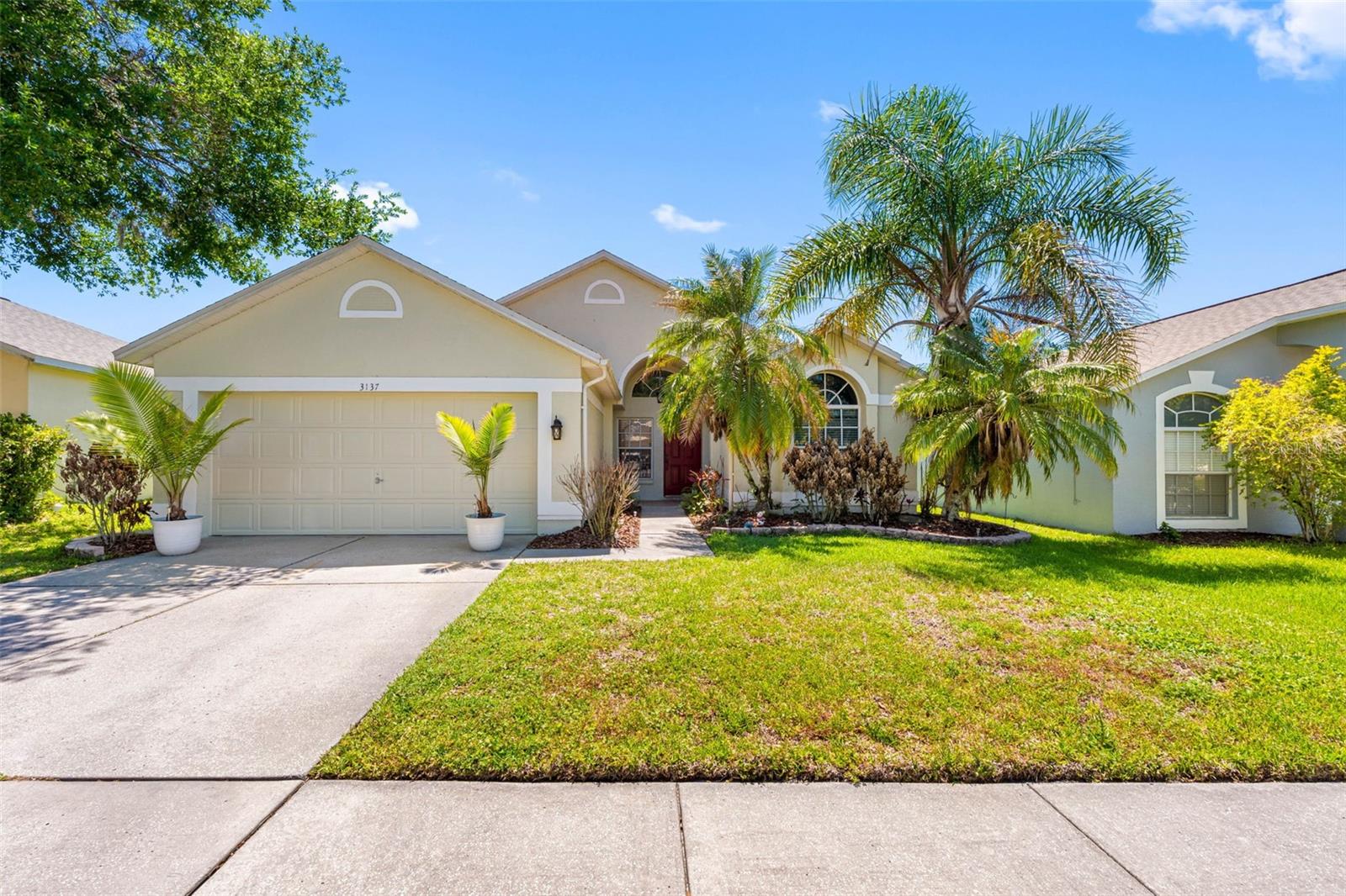 3137 Castle Rock Cir