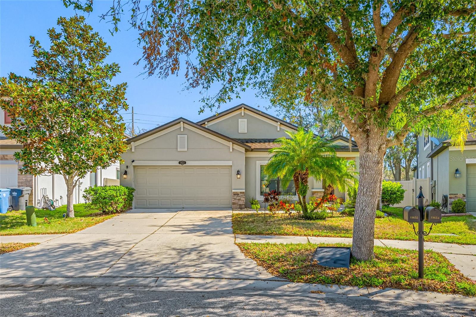 11652 Palmetto Pine St
