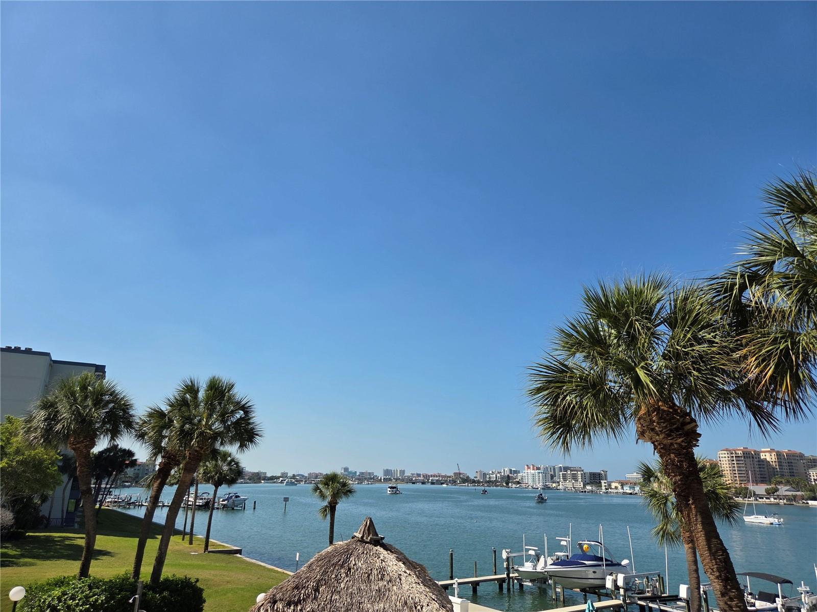 650 Island Way #202