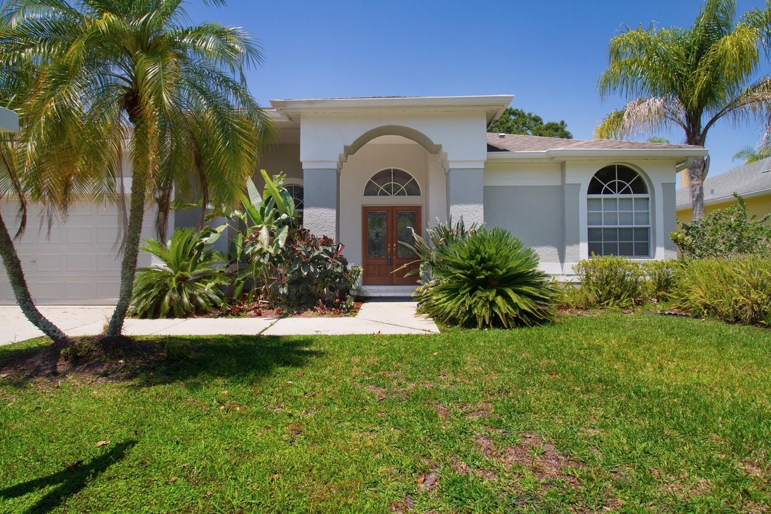 2456 Appaloosa Trl