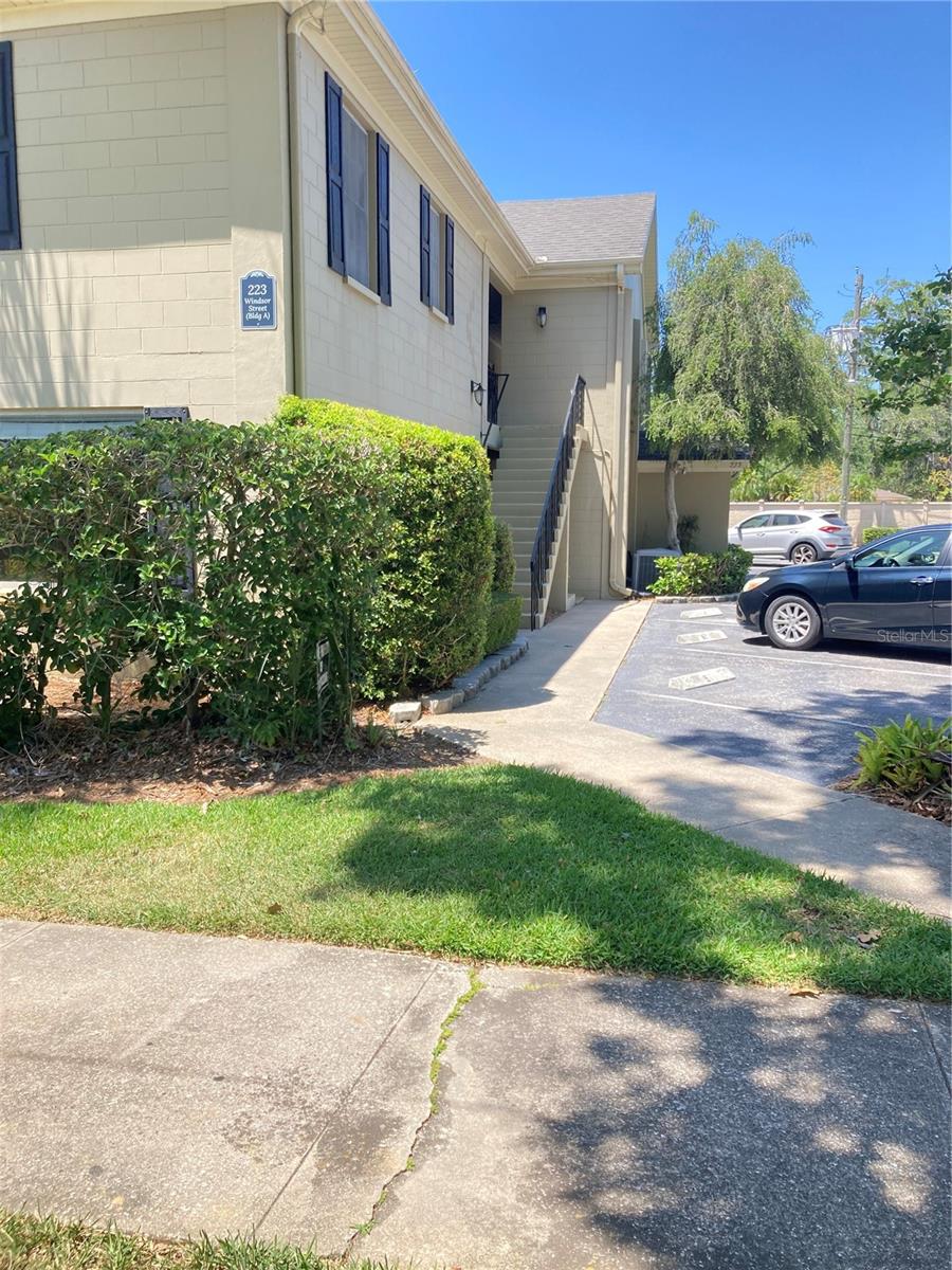 223 Windsor St #6