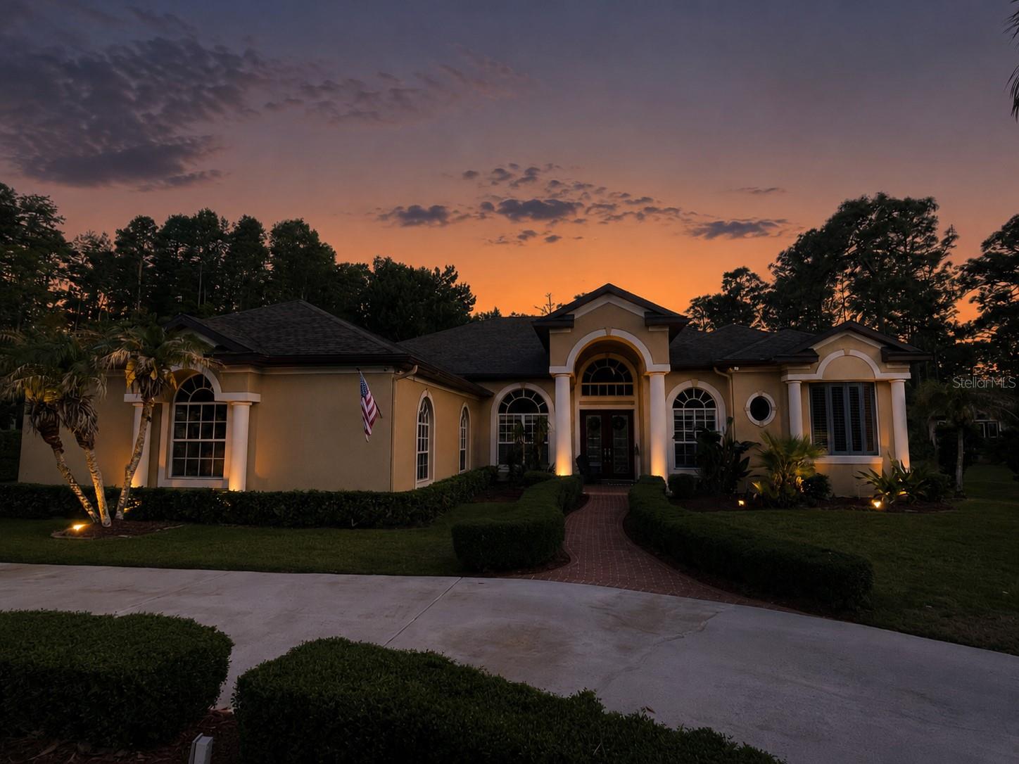 10852 Panicum CT