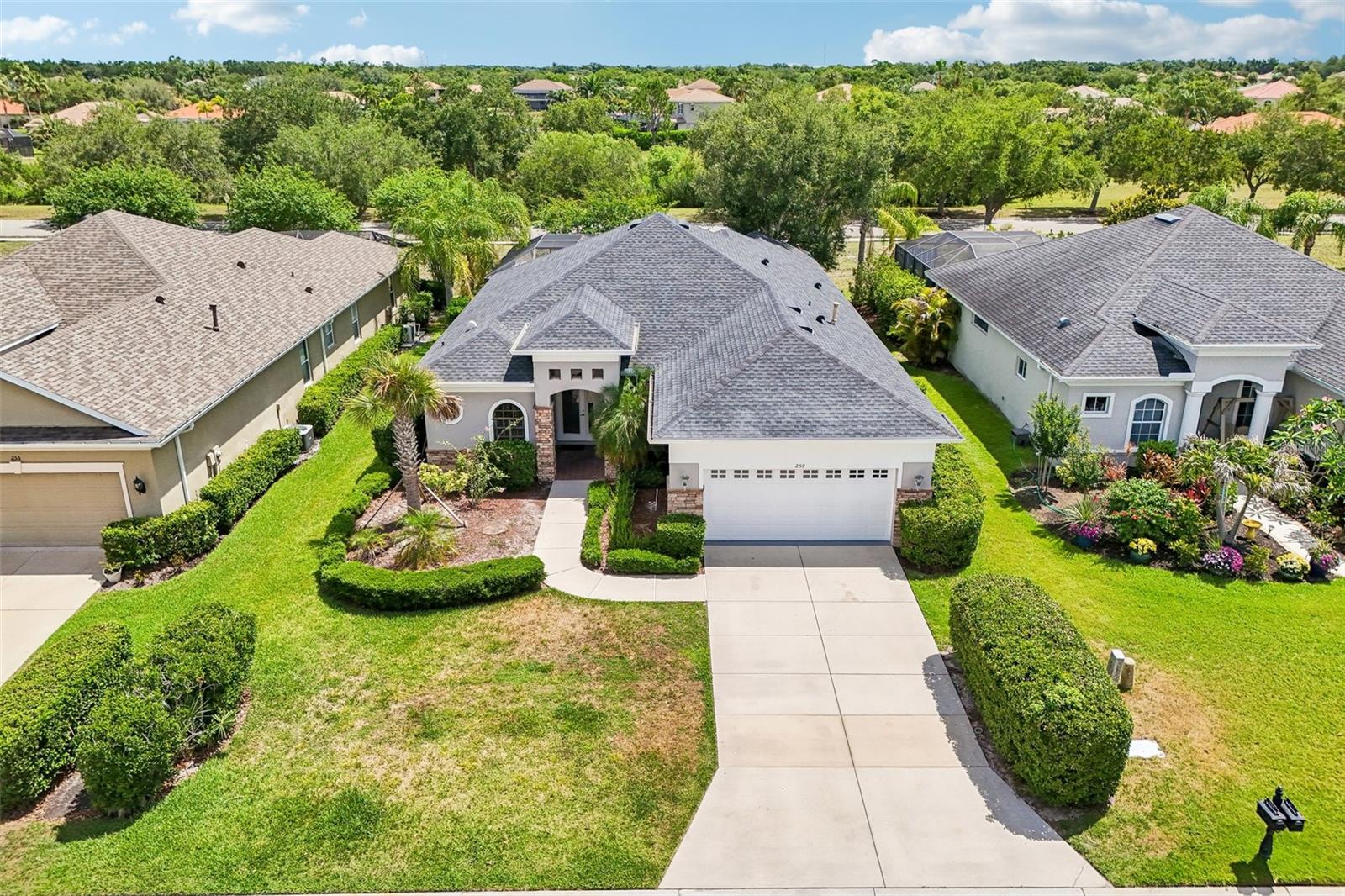 259 Dahlia CT