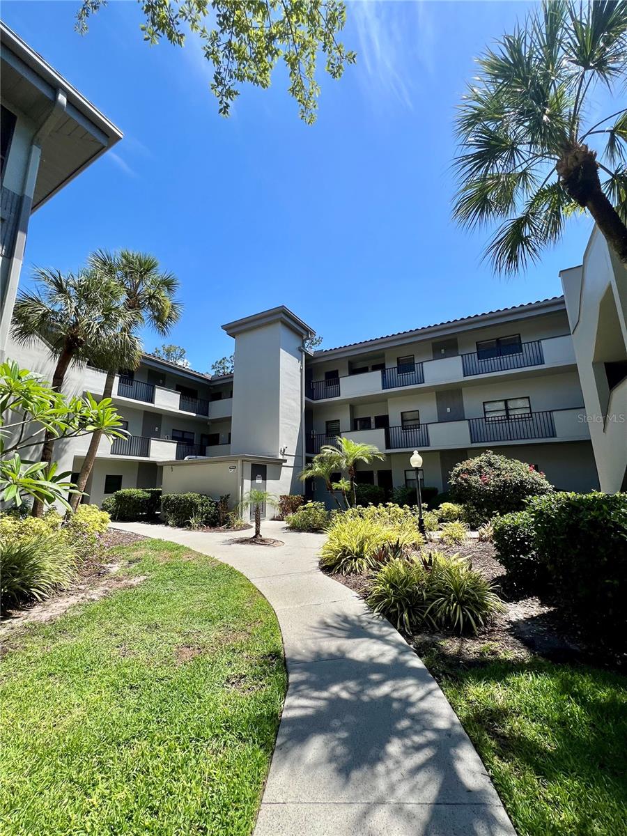 2650 Countryside Blvd #B302
