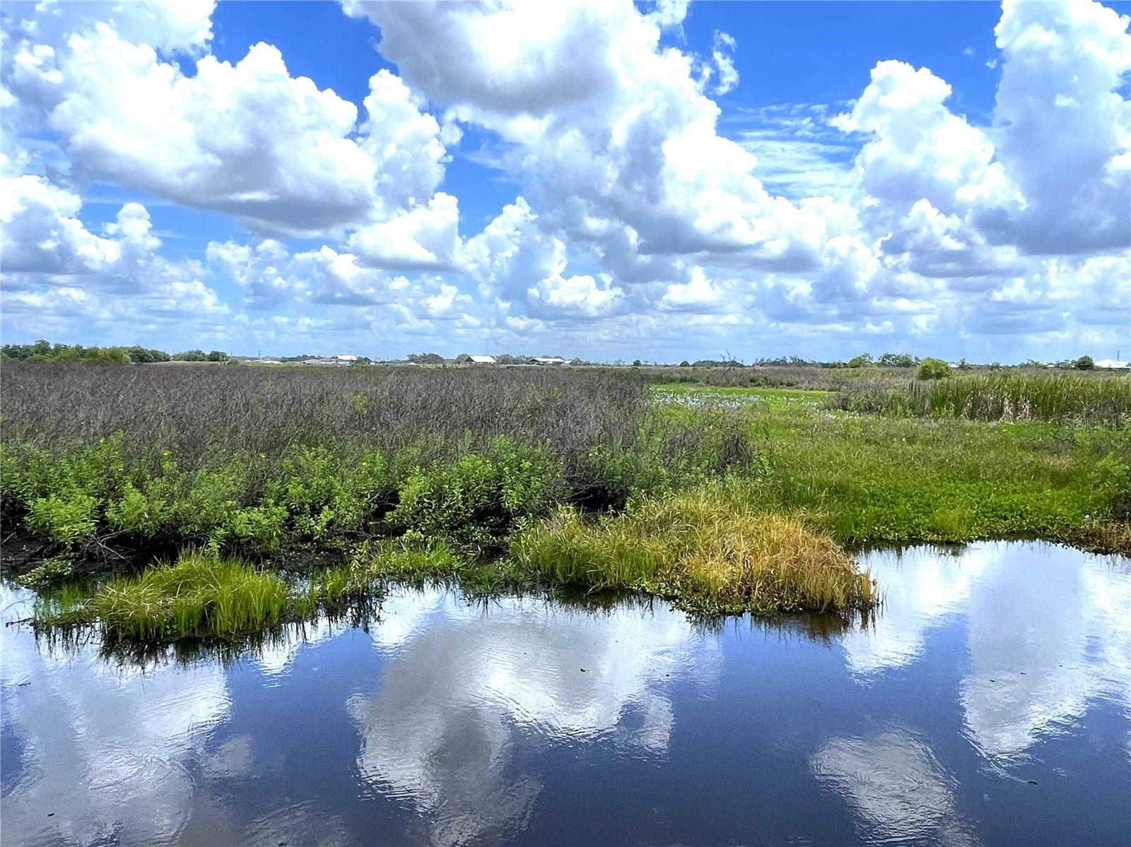 Wauchula Rd