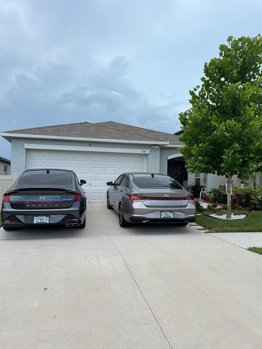 7111 Amelia Cove CT