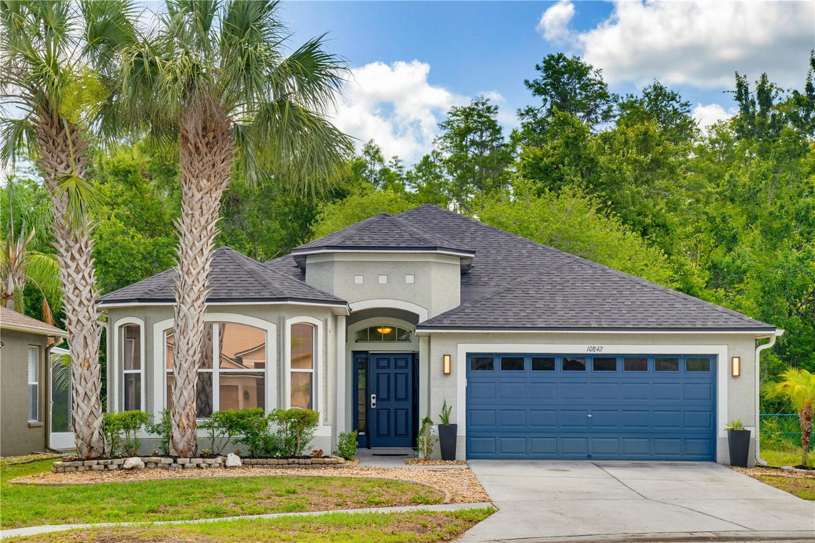 10842 Wild Cotton CT