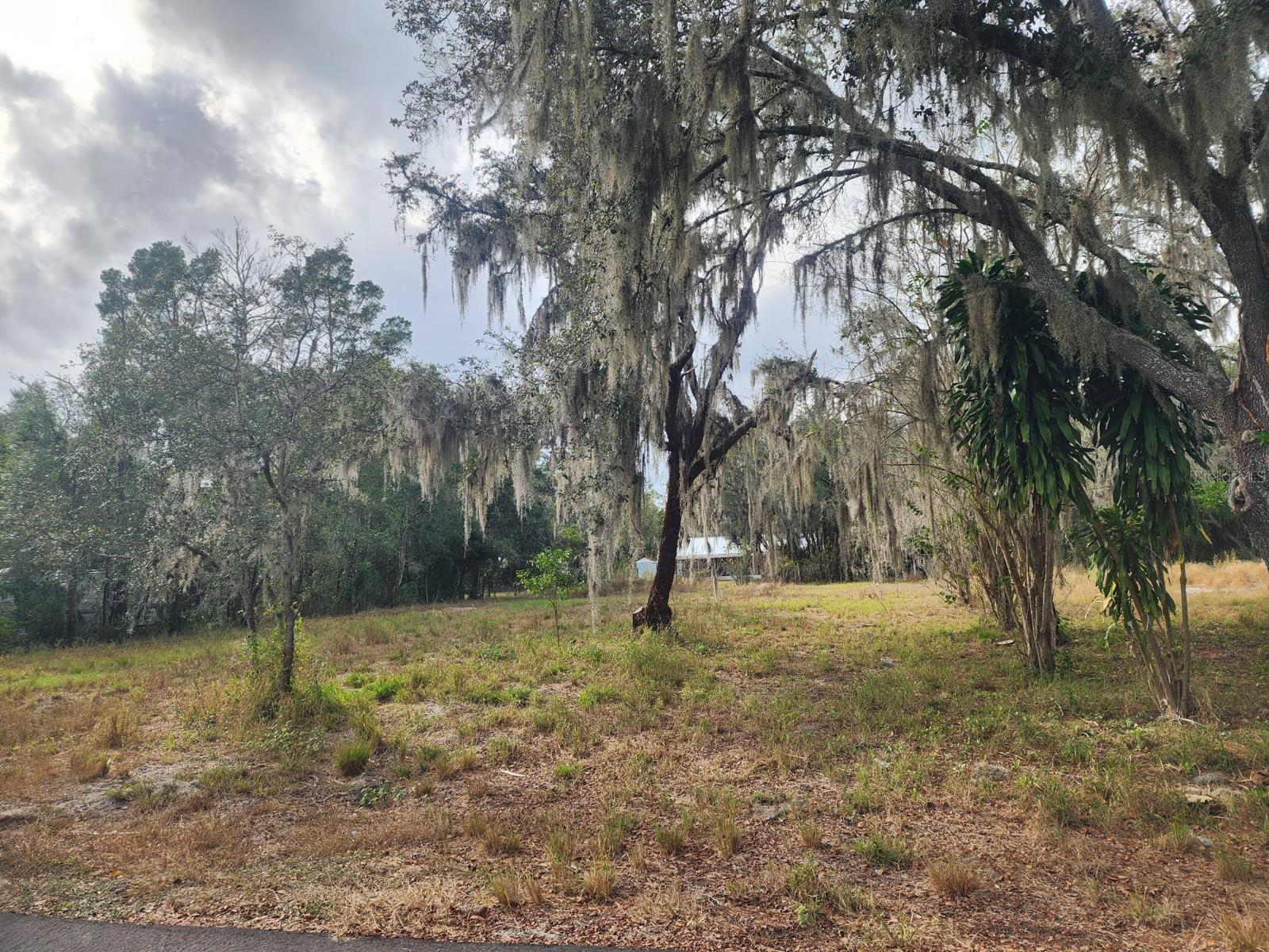 1409 Wilkinson Dr