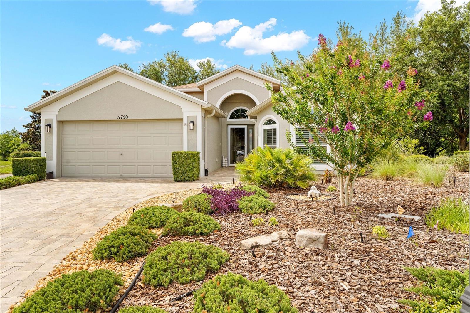11750 Teapot CT