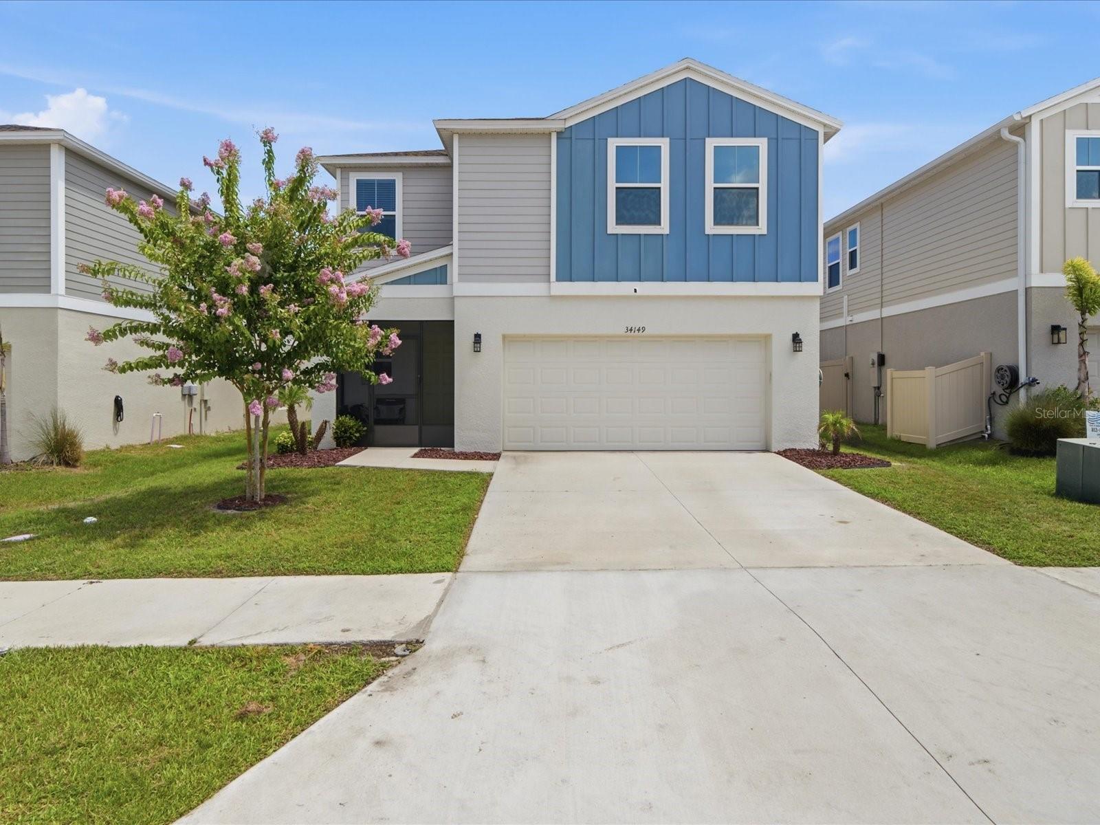 34149 Scarlet Sage CT