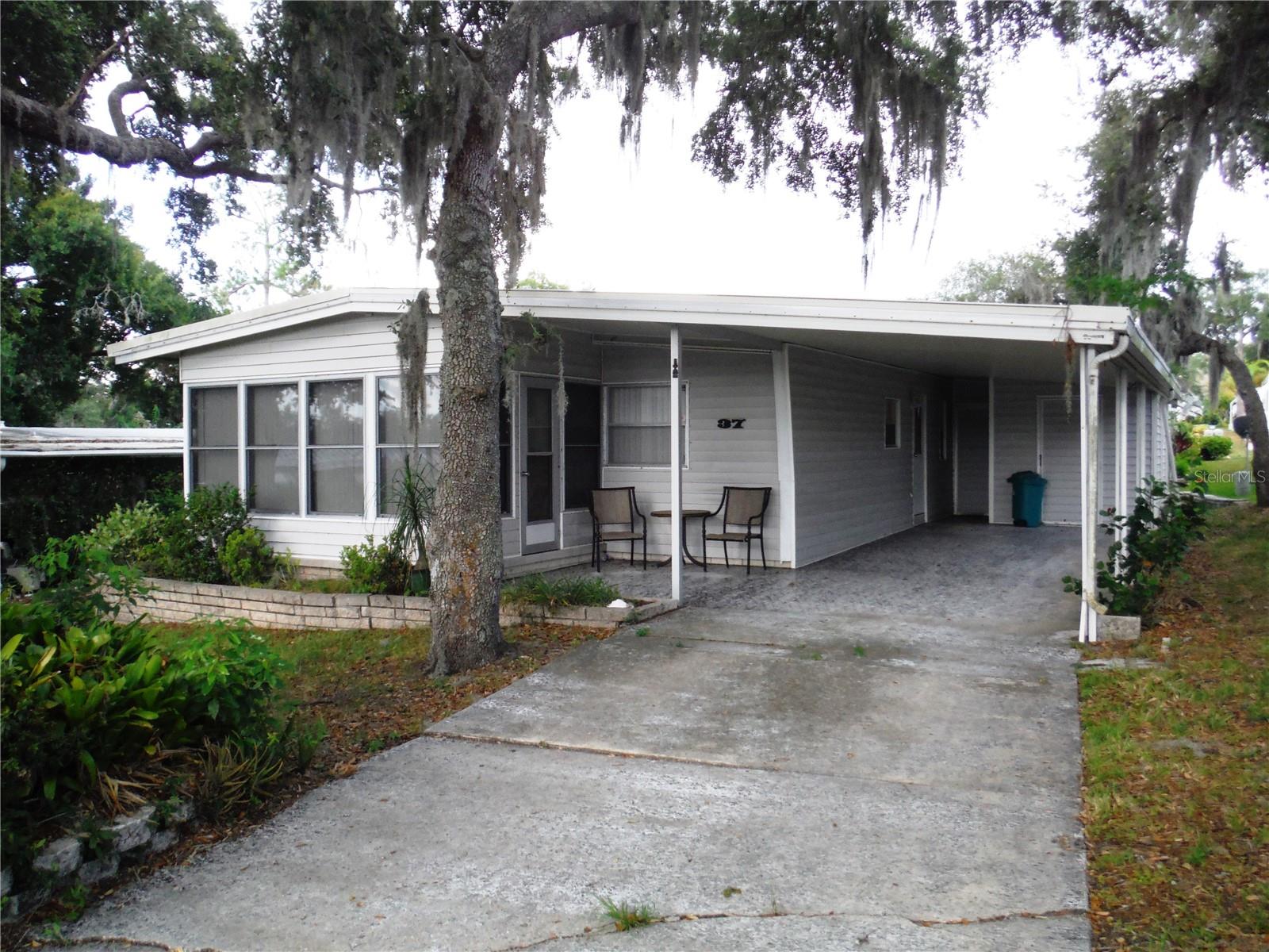 37 Honey Bear CT #54