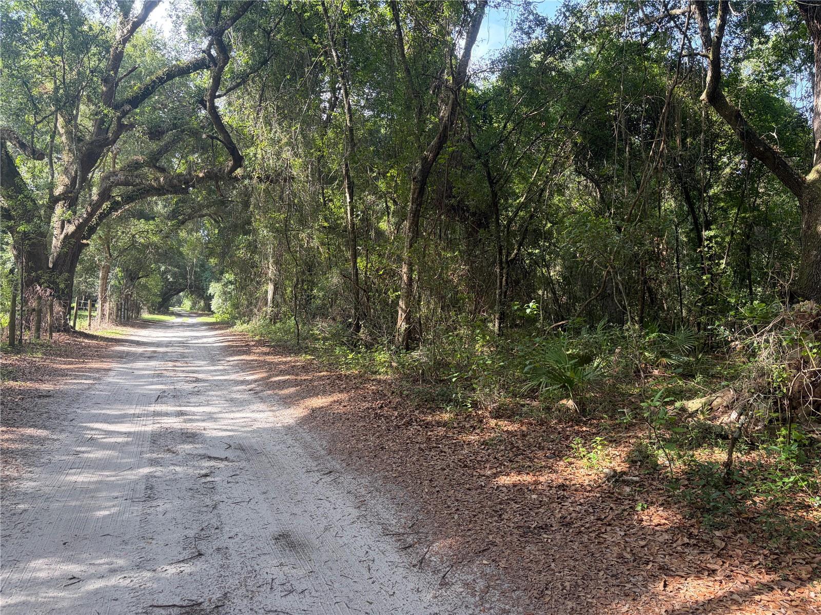 0000 Cr 738
