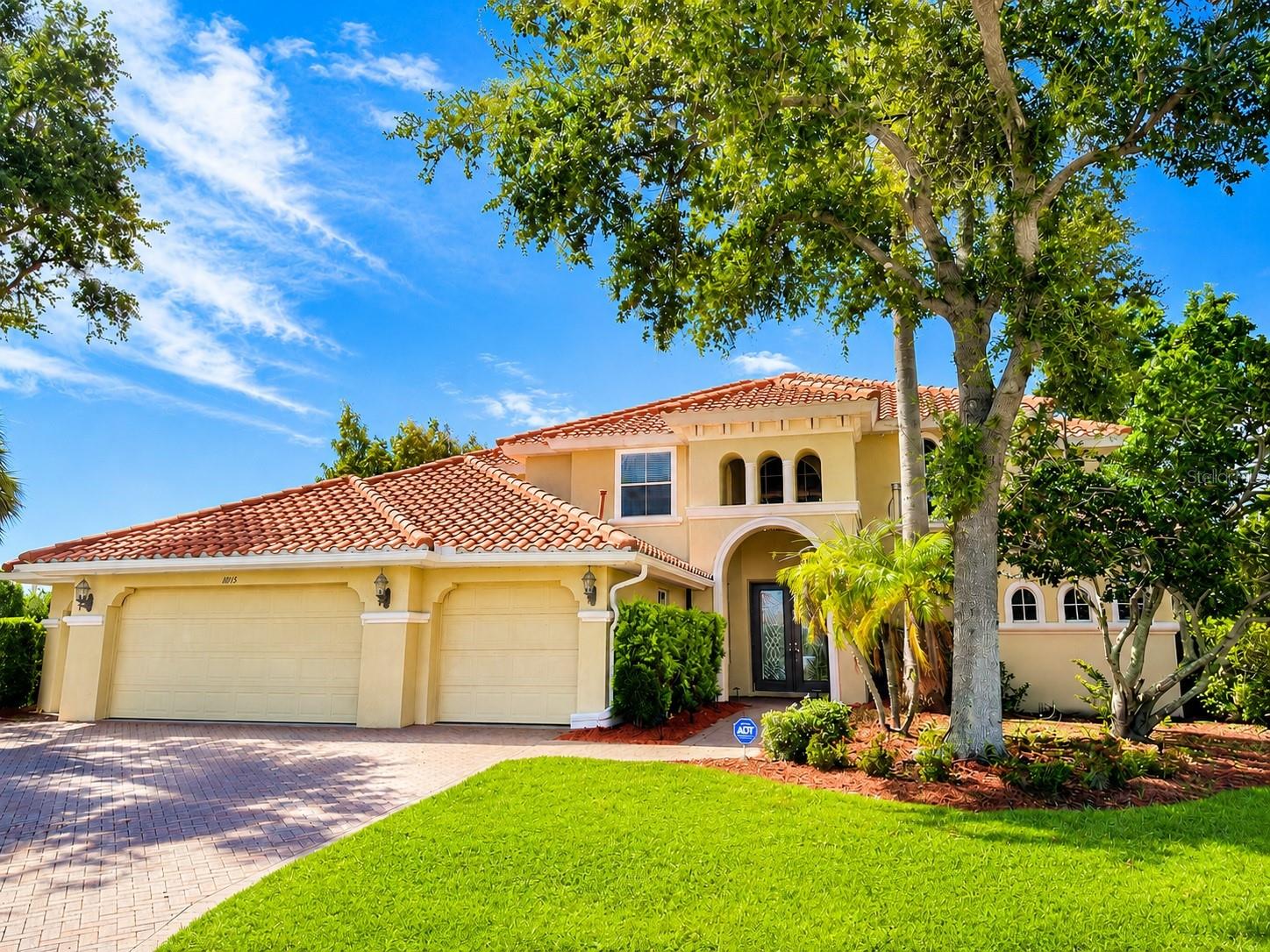 10115 Day Lily CT