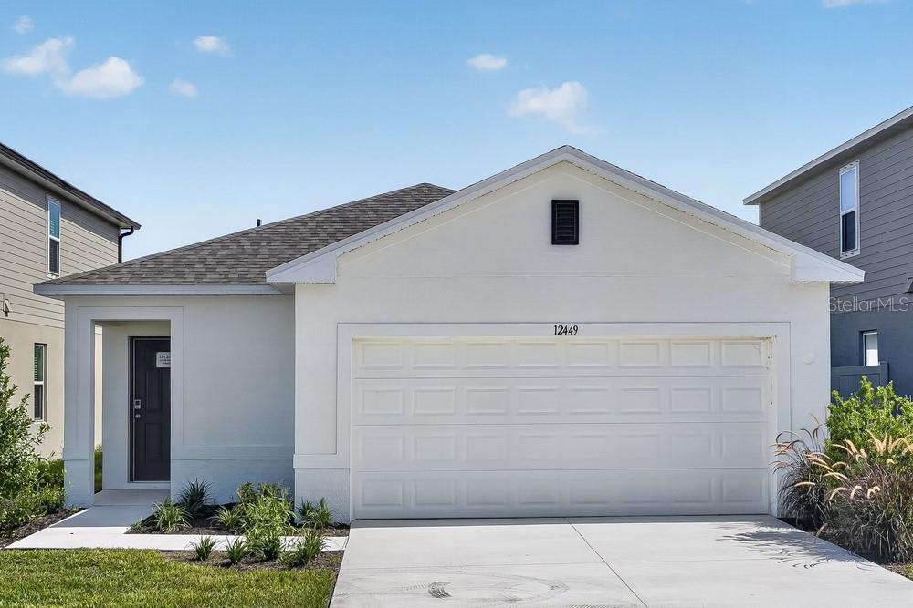 12449 Whisk CT