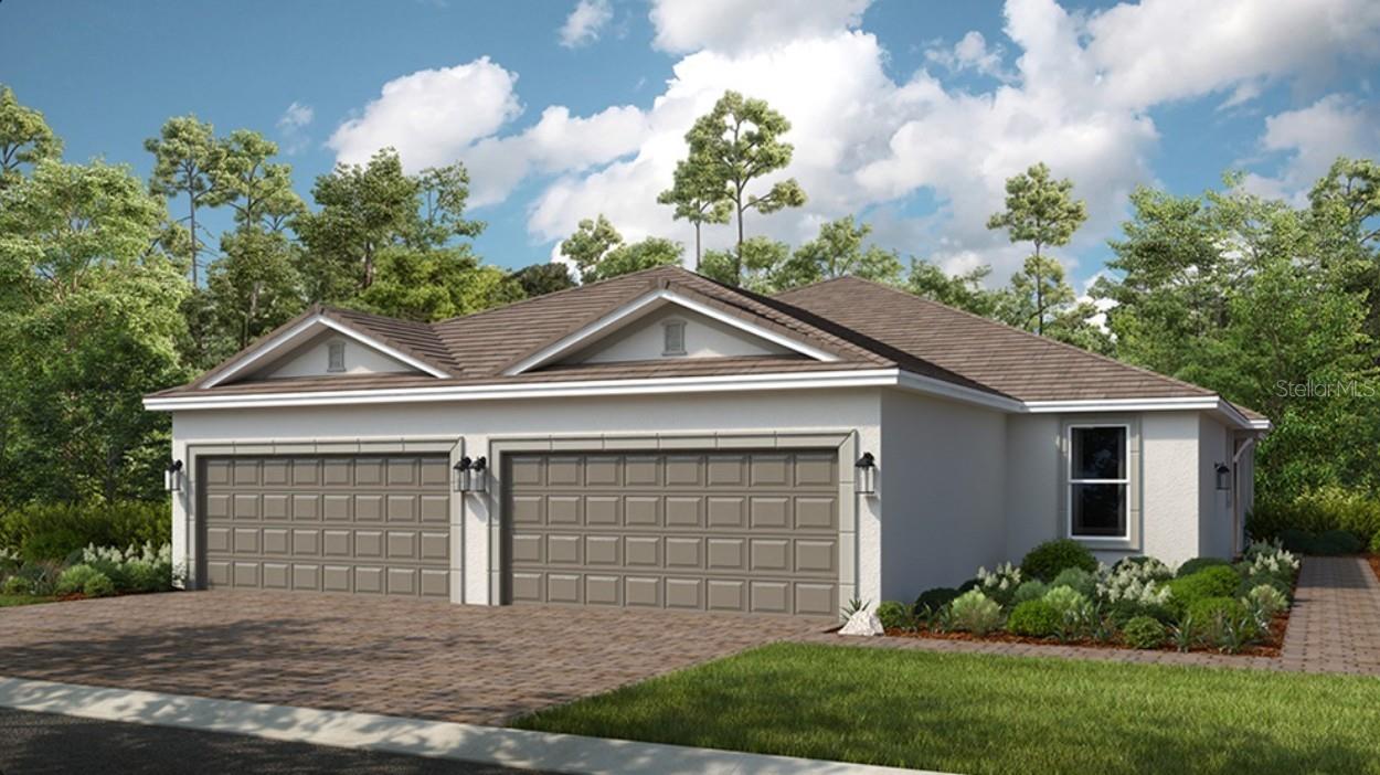 3209 Torta CT