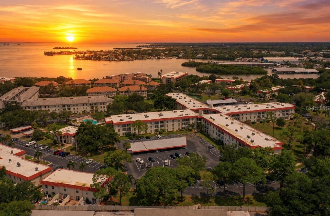 2700 Bayshore Blvd #2110