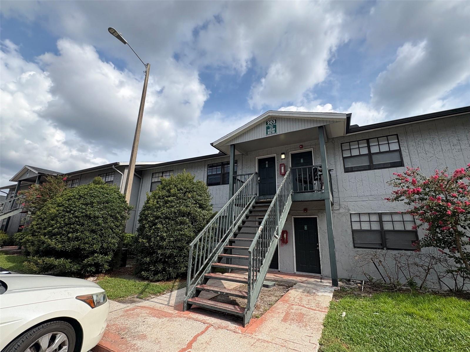 203 Poinsettia Pine CT #102