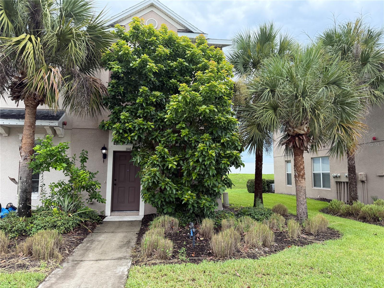 1146 Grantham Dr