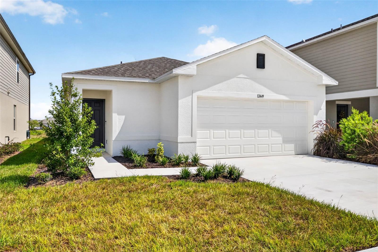 12449 Whisk CT
