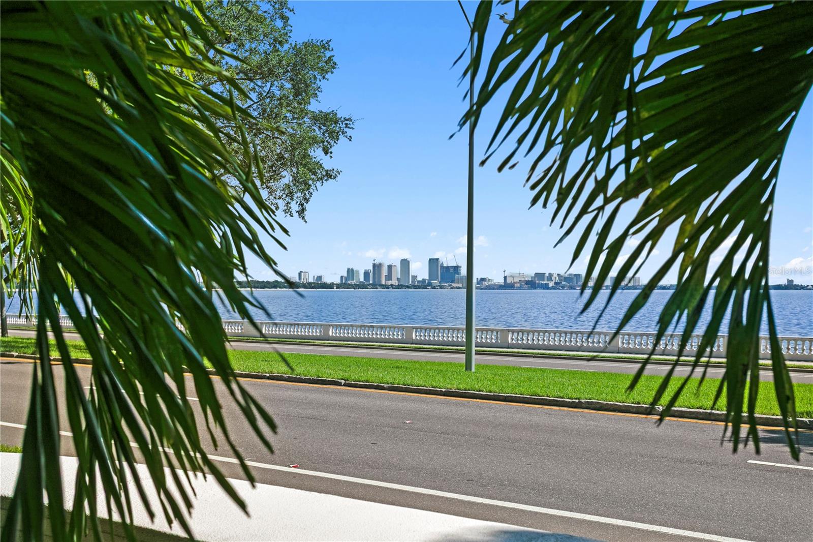 3507 Bayshore Blvd #102